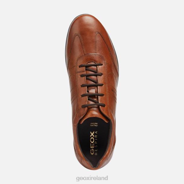 Geox 0ZTB1851 Brown Cotto Symbol Man