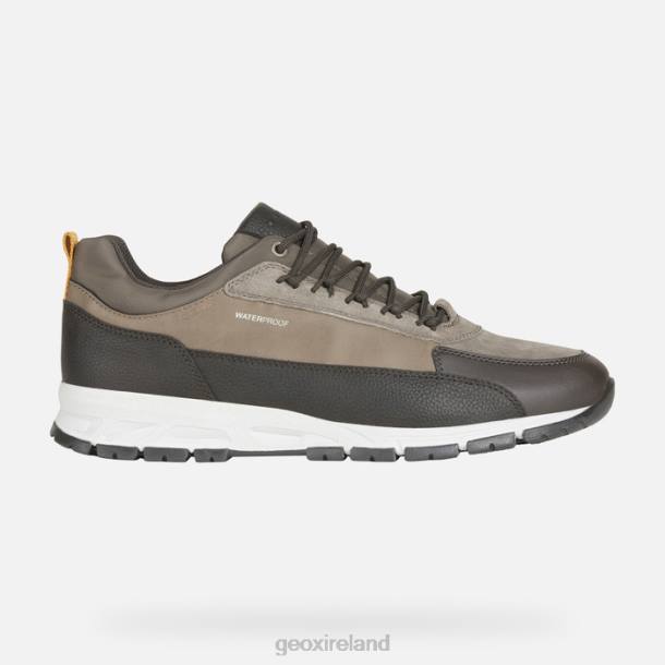 Geox 0ZTB961 Dark Coffee/Dove Grey Delray Man